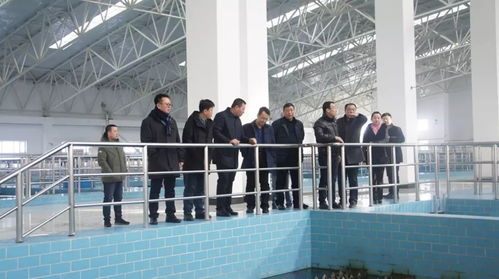 集團總經理王爽一行開展節日慰問與工作指導