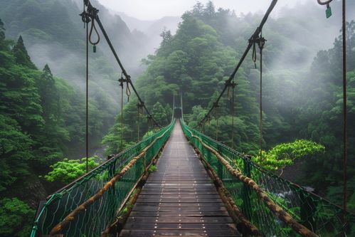 峽谷中的吊橋旅游景點推薦 創意海報廣告素材