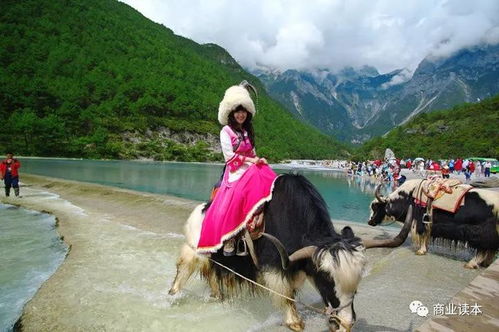 云南旅游聘任李堅為公司總經理