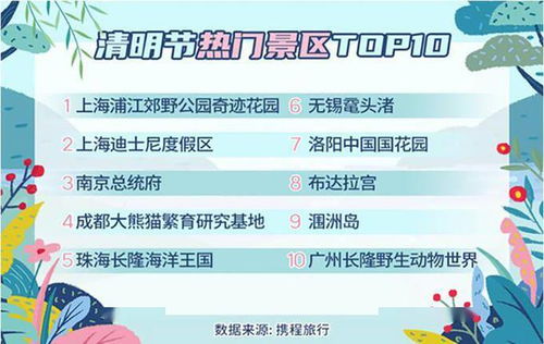 清明出行汽車(chē)短租業(yè)務(wù)加速回暖