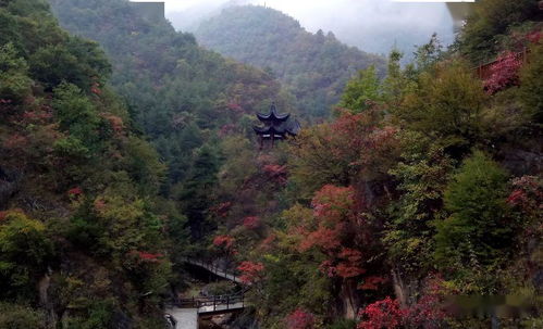 腰市江山景區招聘,需要找工作的看過來