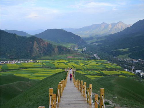 輪椅上度過十二年,兒媳進家喜出望外,婆媳成了 好閨蜜